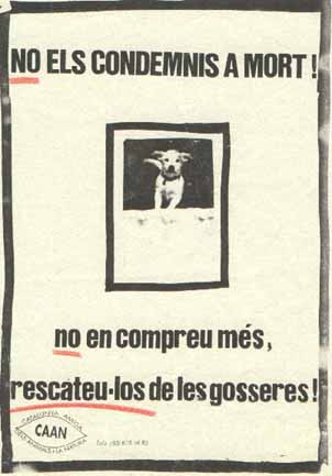 ¡NO LOS CONDENES A MUERTE!! ¡no compres más, rescátalos de las perreras! - © Cartel Alicia Smith