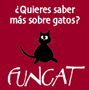 ¿Quieres saber más sobre gatos? FUNCAT