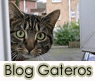 Visita el Blog Gateros